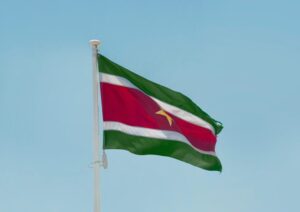 Suriname`s flag